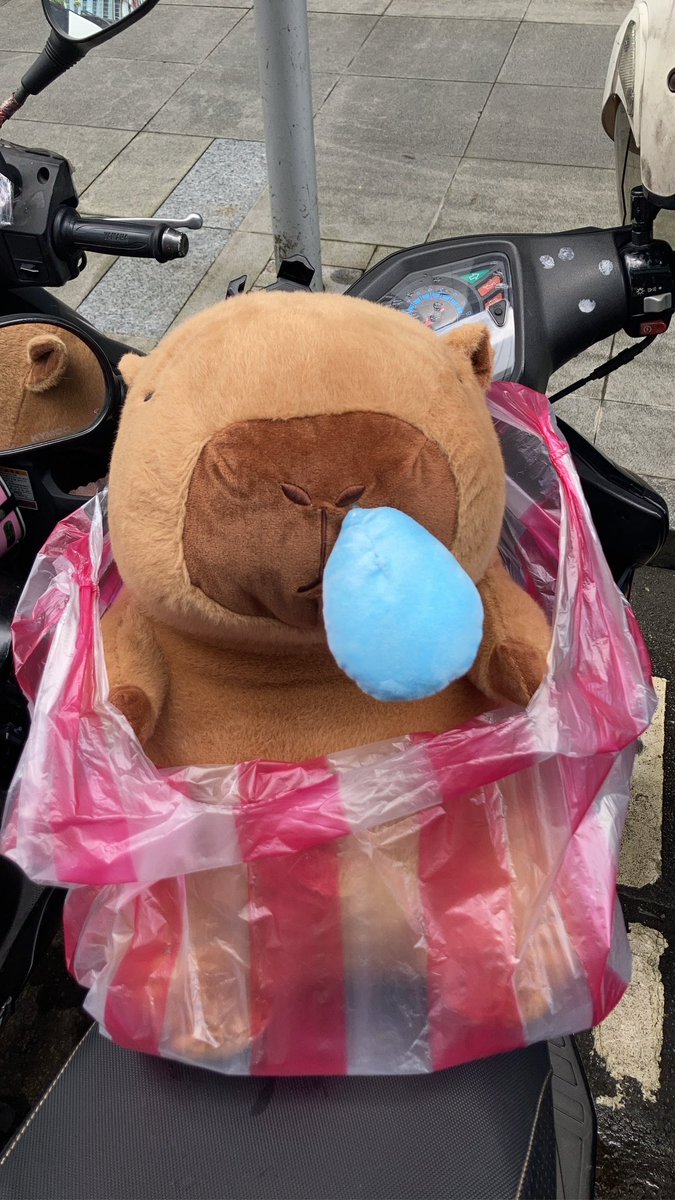g05262002's tweet photo. 終於把他接回家了🤣🤣 https://t.co/uJl9XrkzJW