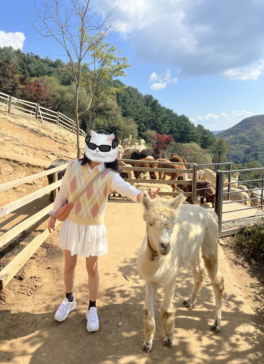 daybits99's tweet photo. 알파카를 좋아합니다,, 파카 귀엽죠?
#트친소 #일상계 https://t.co/hhyefOOpX6