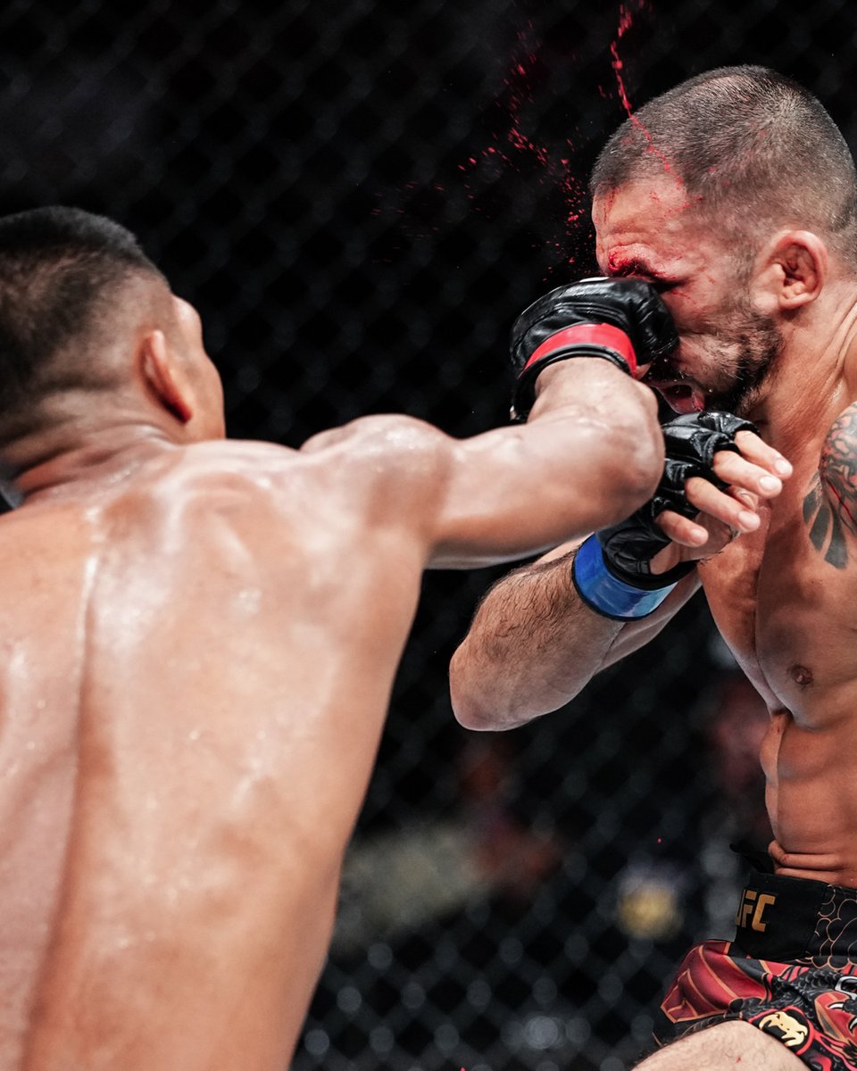 Full_Violence tweet picture