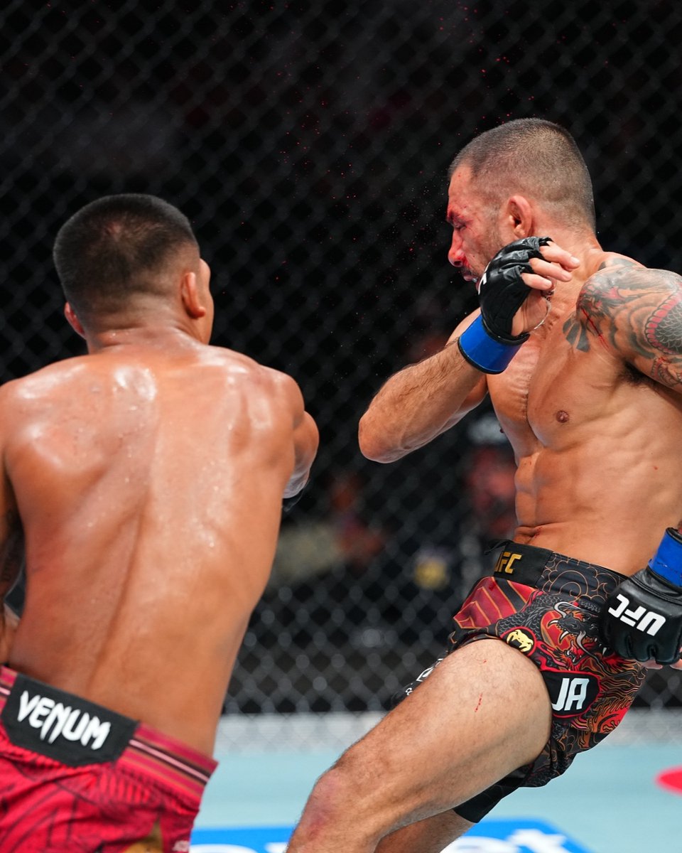 ufc's tweet photo. THE FLYWEIGHT KING

Make that TWO title defenses for @JoshuaVanBT!!!

[ #CryptoCom #UFC331 ] https://t.co/vNHYRA12hE