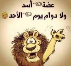 ulolax's tweet photo. صباح الخير 🤍 https://t.co/5liSysS2P2