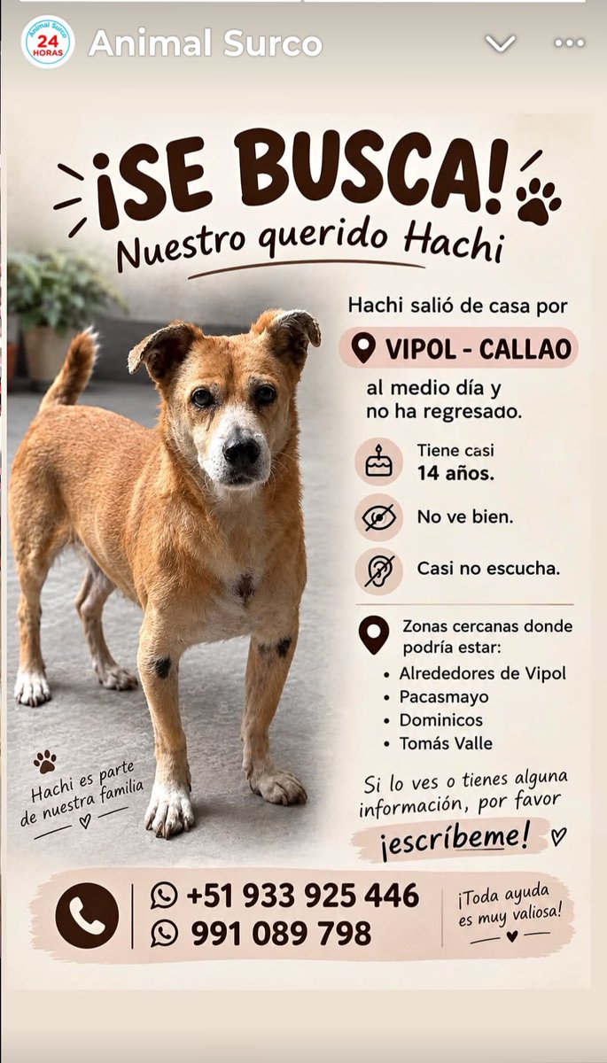 XERO968's tweet photo. AYUDEN DIFUNDIENDO ÉSTE POST PARA AYUDARLO A REGRESAR A CASA!!💔💔💔💔💔💔💔💔💔💔💔💔 https://t.co/ggOaNt4Iet