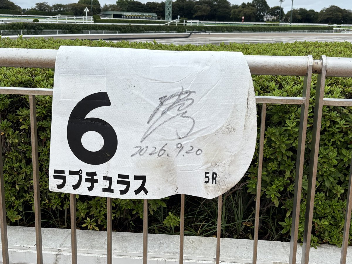 tclion_east's tweet photo. ラプチュラスです🥇
���中は上手に立ち回り、最後は根性のあるところを見せてくれました🐴✨
初戦からしっかり結果を出してくれて、嬉しいデビュー勝ちです！
たくさんのご声援、ありがとうございました🙇 https://t.co/fx0jgOhWAq