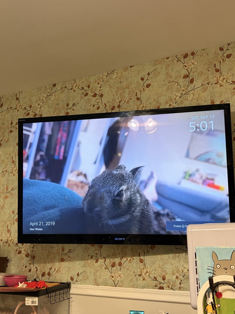 LilBoCreeper's tweet photo. 9/19/26
Saturday girl time https://t.co/XcJdqNzIzN