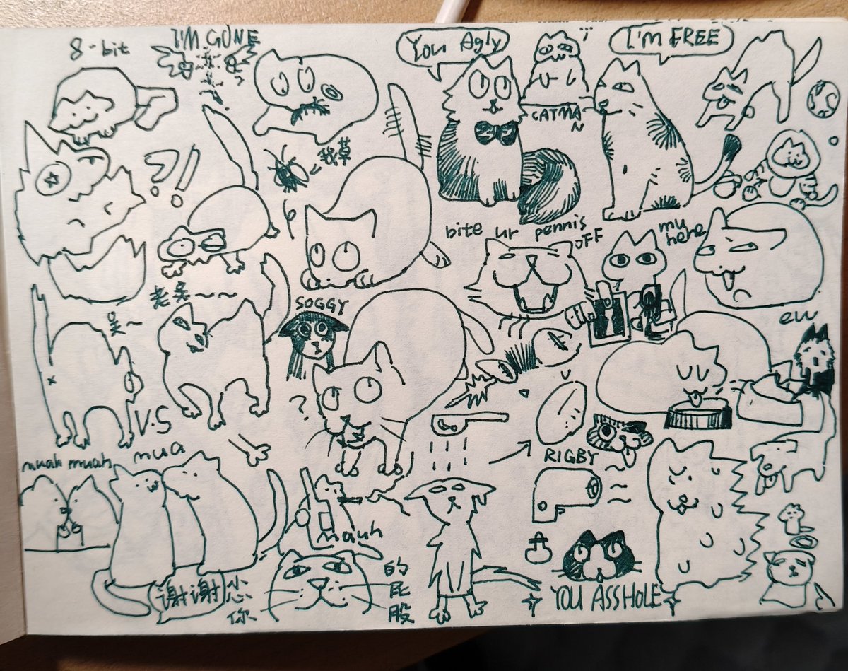 xurongjius708's tweet photo. https://t.co/eAczVJubKj