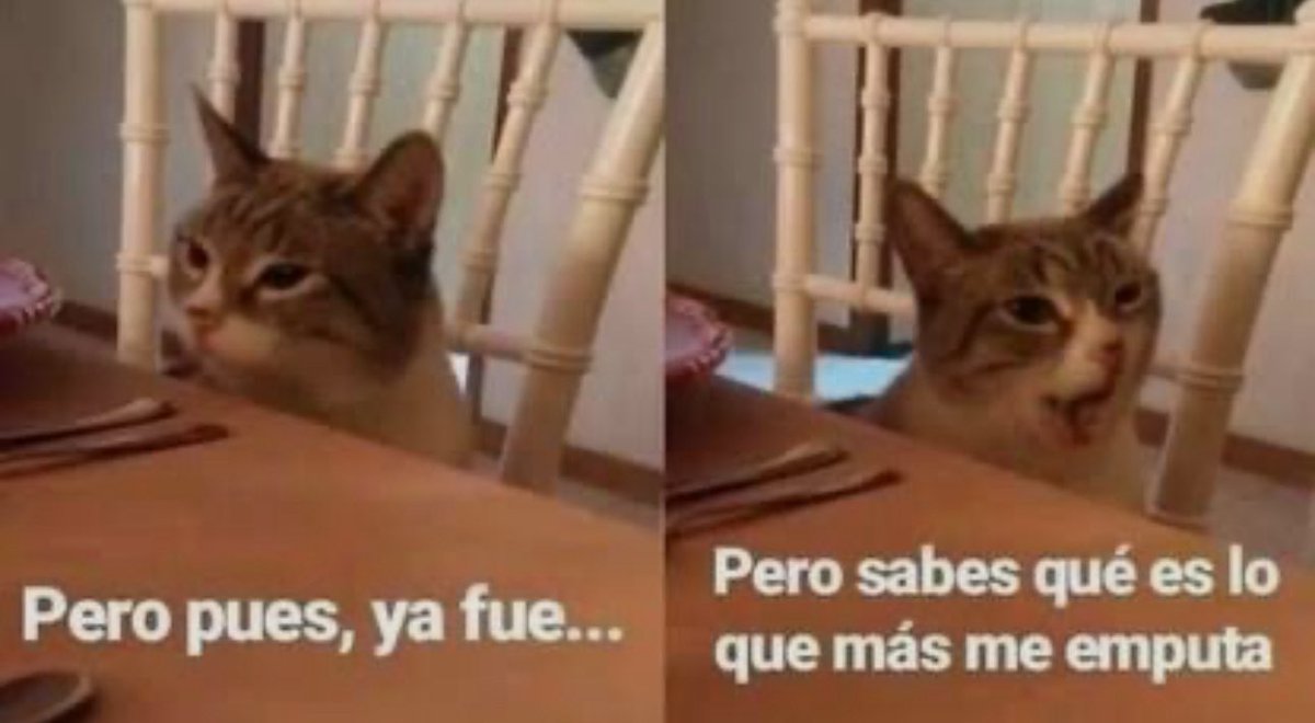 galasupremus's tweet photo. Don Homero cada que sale en el documental hablando de que Rivers y recalcando que dejó la universidad. https://t.co/VJHnvmZNjP