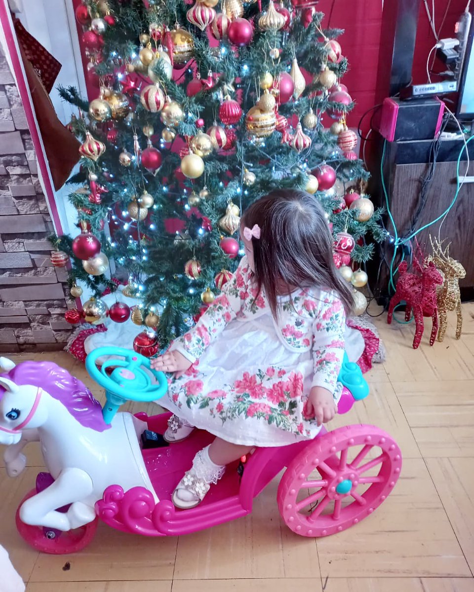 IsaiasBurrt7's tweet photo. Feliz con su regalo de navidad 🎁🎄
Un carruaje para una princesa 💫🎀 https://t.co/KUuk8rLIAp