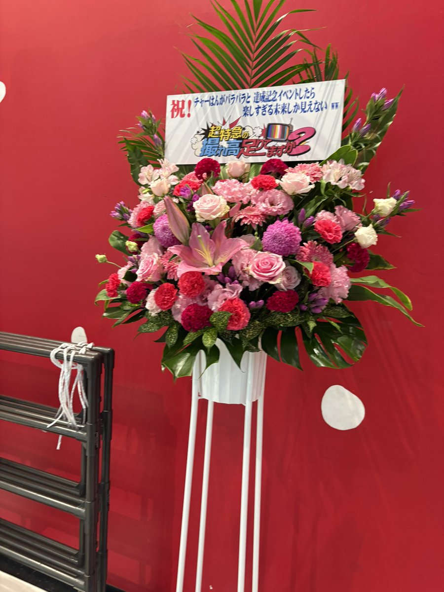 runtat's tweet photo. 誕生日に〜チャーはんうれし〜よ〜✌ https://t.co/BFWgATxJBN