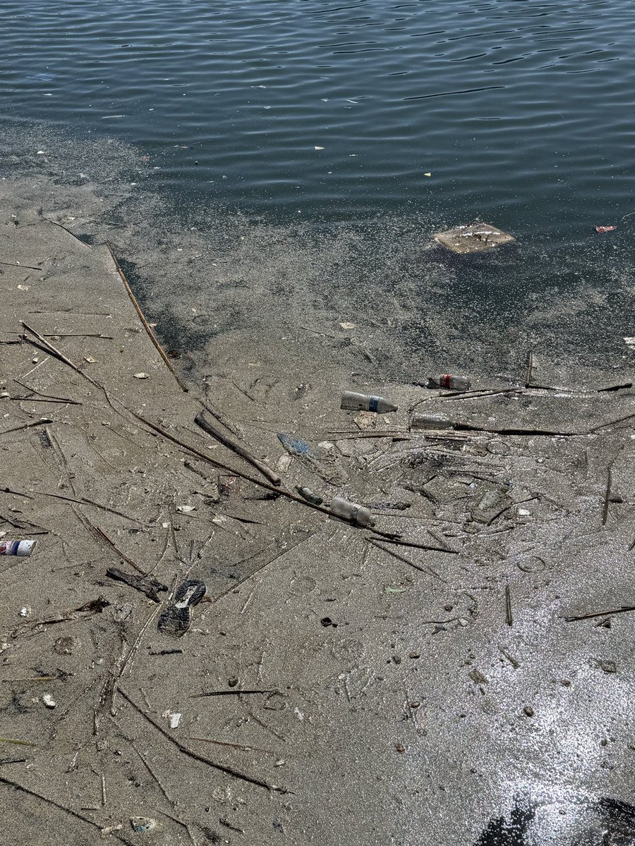FedUpCitizenLA's tweet photo. This is what it looks like in Long Beach next to the aquarium: loads of trash in the sea including a dead dog floating. This is totally unacceptable, a disaster and an embarrassment. Oh but I’m glad we don’t have plastic bags and plastic straws! Surely that’ll make this better. https://t.co/CzV7VUiyFq