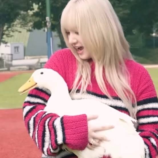 macnsheeeesh's tweet photo. liz duck or liz liz? https://t.co/NZpxcx1EyA