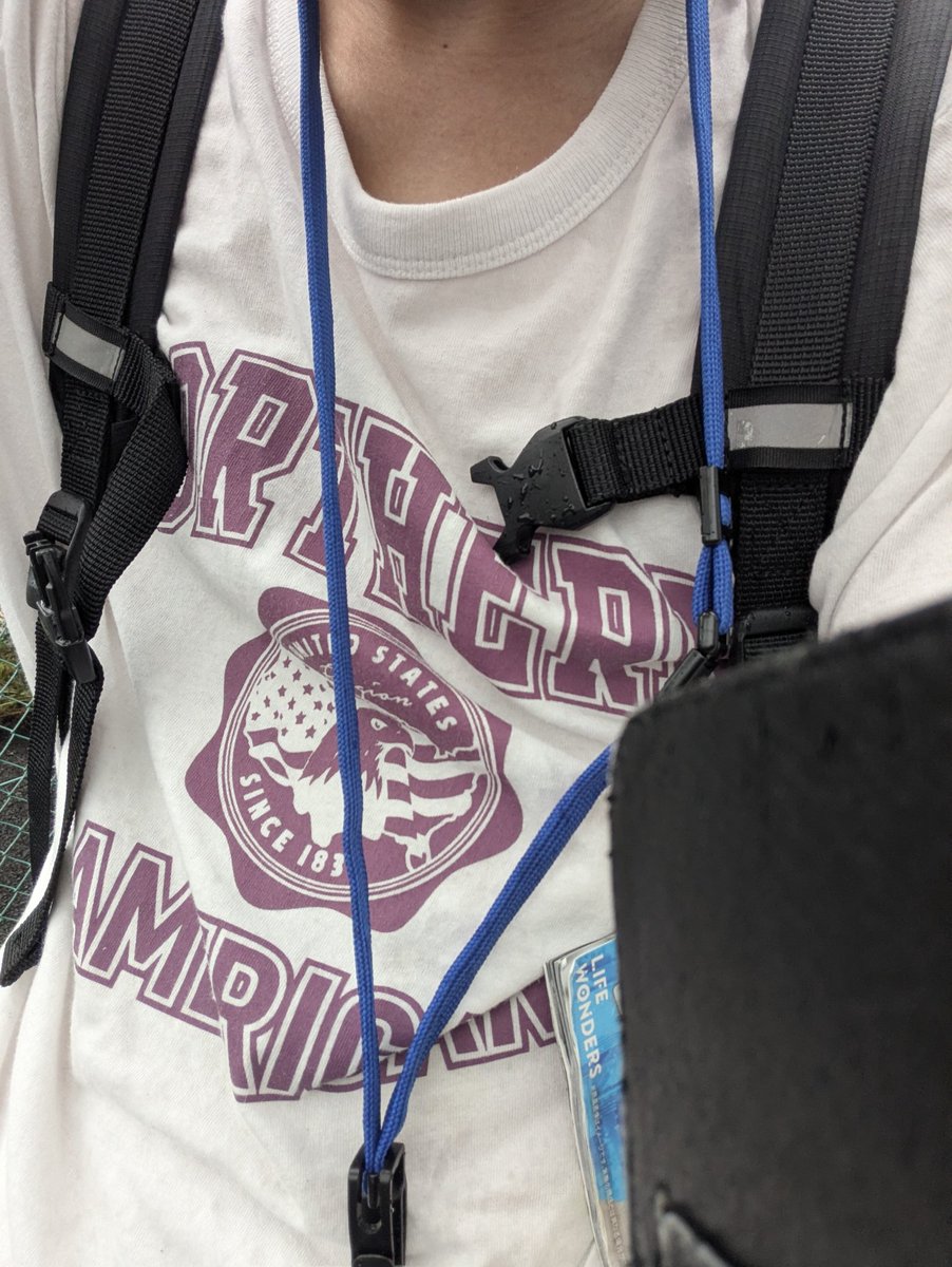 SynkaVRC's tweet photo. 服装こんな感じです！ https://t.co/AOCuajPNn6