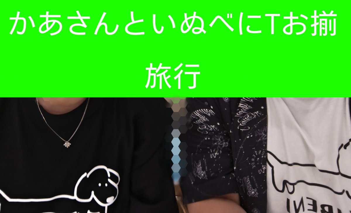 util010's tweet photo. 母さんとの東京→大阪旅行✈️
いぬべにTシャツ着てくるって言ったからお揃いで東京観光した。
大阪は初USJやグルメ中心の旅だったから、べに様の乾杯アクスタも共に旅行してきた！🍻
#八雲べに　
#しもべに https://t.co/1fNpWH5oId