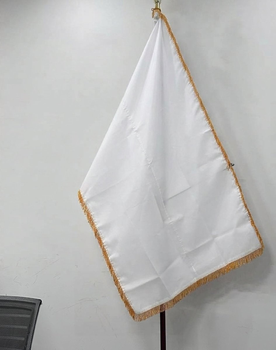 meridianagov's tweet photo. Our flag proudly on display in the new Embassy of Meridiana to the United States! Currently undergoing renovations in Pevely, Missouri.
Prince Joshua of Ashford, first cousin of His Majesty The King, is Meridiana's Ambassador to the United States.
#meridiana #micronations https://t.co/dh3RBmpeyn