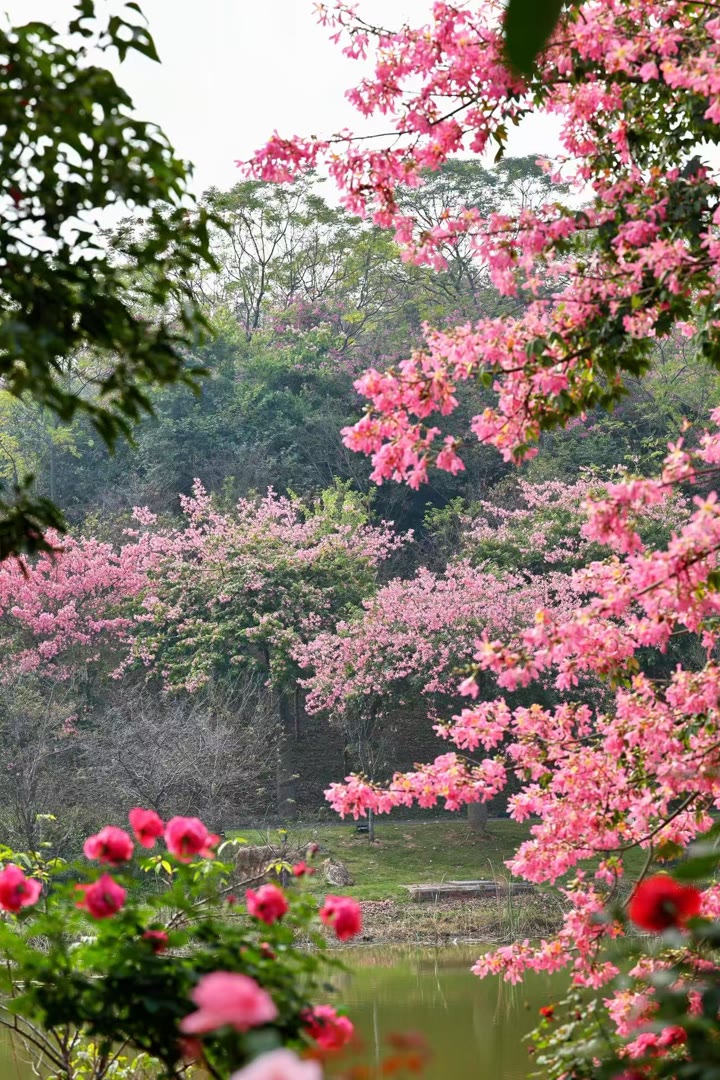 ariac858789's tweet photo. In love folly is always sweet.
太原n小店c迎泽v杏花岭n尖草坪f万柏林n晋源 #太原  💬👖个人联系→@ytup55678 https://t.co/GGdPtankEB