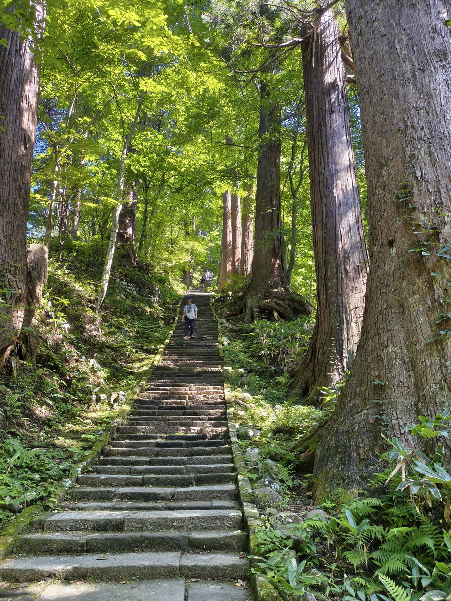 manaf_1412's tweet photo. 1週間前の今頃は、羽黒の山を登っていたんだなぁ…としみじみ。写真見返してみたら、階段の写真この2枚くらいしかなかったわ。ほんと、無心で登ってた…。写真撮ったときは、撮ってる人がいて釣られて撮ったんだと思う。
1枚目は、登る前に門前で食べた玉こんにゃく😋 https://t.co/lz9r9IUf9z