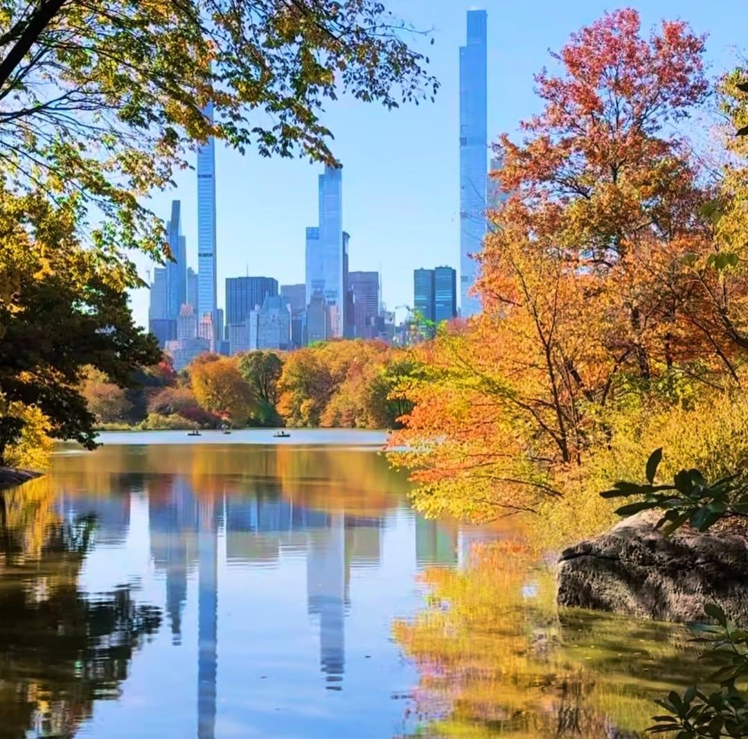earthserenityy's tweet photo. New York New York https://t.co/aOGMXl2Lfr