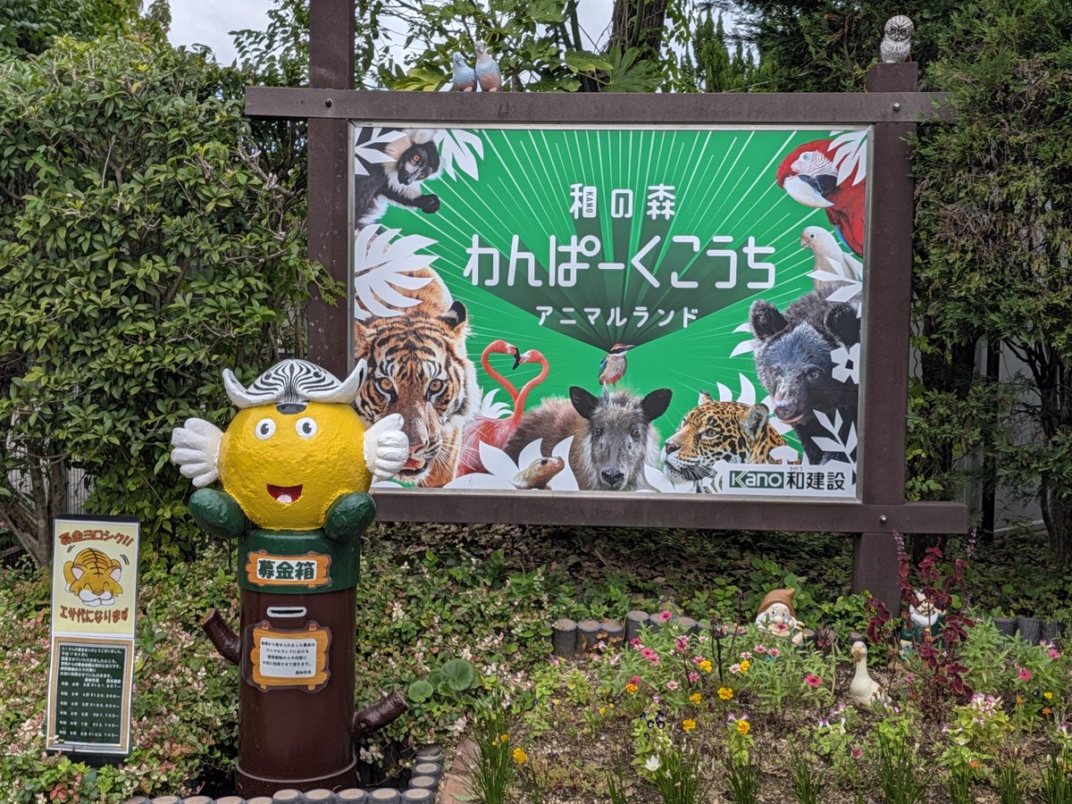 YKNS_168's tweet photo. わんぱーくこうち

小規模動物園、遊園地でしか得られない良さがある https://t.co/QjouWNYPmi