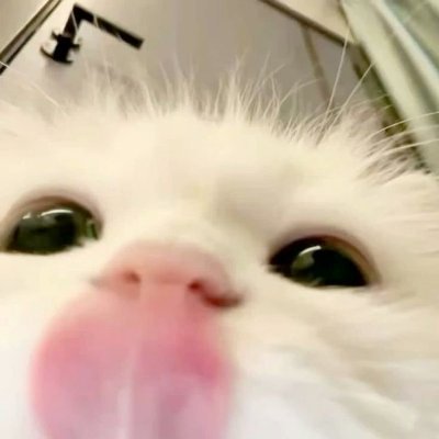 Dongkhyuc's tweet photo. @Lxejenoz (｡>﹏<｡) https://t.co/OLT2qIWDnE