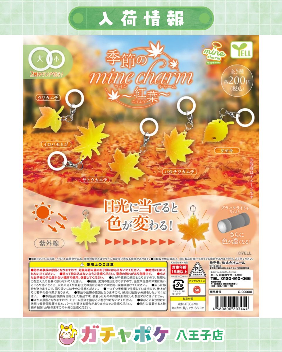 Gachapocket_'s tweet photo. 🌈✨入荷情報✨🌈
📢 9月20日(日)入荷商品はこちら👇💖

✅季節のｍｉｎｅチャーム　～紅葉～
━━━━━━━━━━━━━━━
⚠️人気商品は早期完売の可能性がございます。
完売情報はストーリーでお知らせしますがタイムラグがございます。🙇‍♀️
予めご了承ください。
━━━━━━━━━━━━━━━

入荷・完売情報、ご不明点はお気軽にスタッフまでお問い合わせください☺️
みなさまのご来店お待ちしております💛

#ガチャポケ
#八王子
#カプセルトイ
#ガチャガチャ