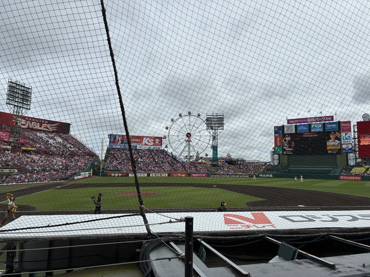 sub_island_'s tweet photo. この俺が応援に来たのだから楽天はもちろん勝てるよな？ https://t.co/A3TSlPd952