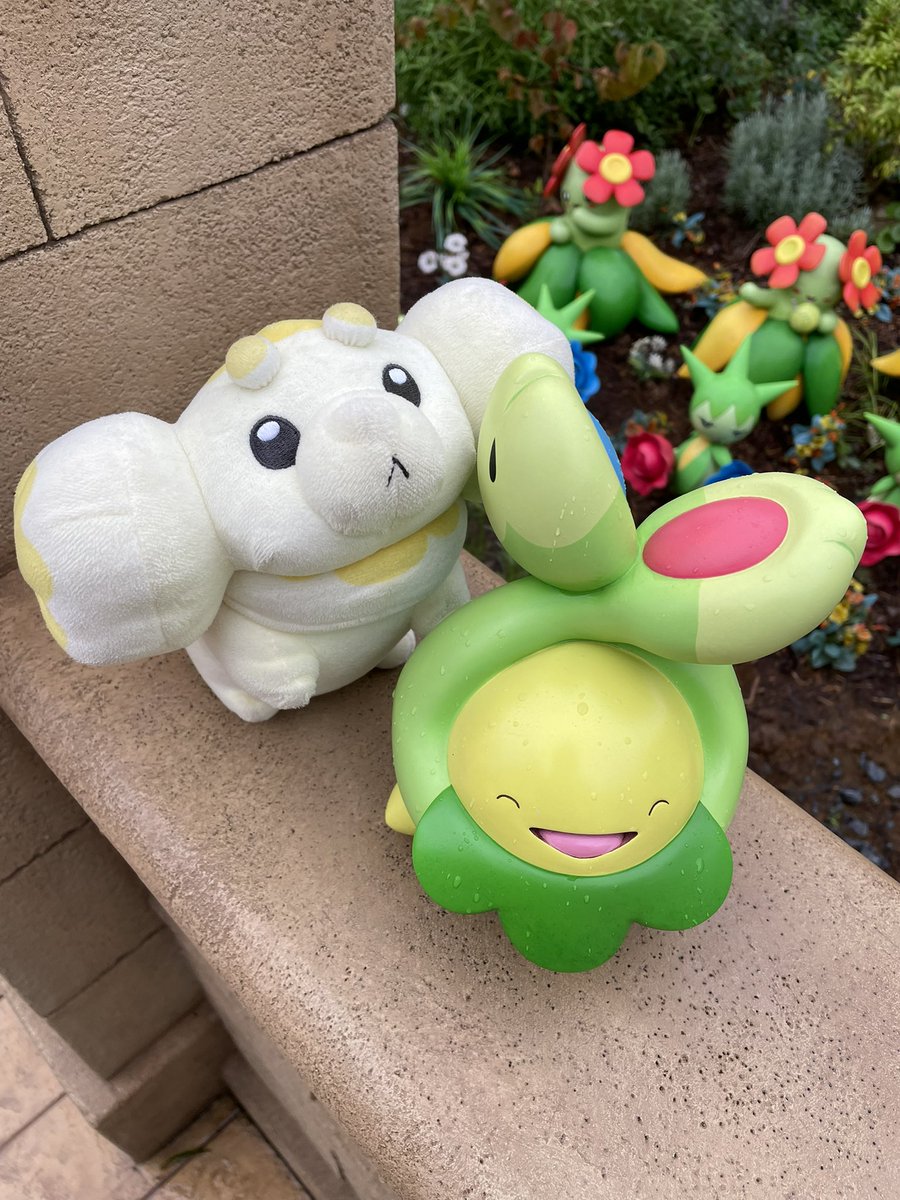 motimotipapimo's tweet photo. 綺麗な植物見つけたモチ！🪴
いい笑顔モチ！ https://t.co/UZwzdX1Mco