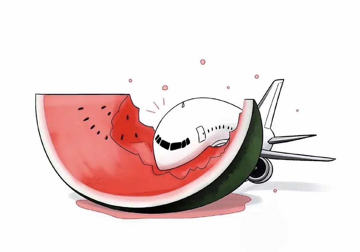 ArsaAircraft_10's tweet photo. I have some really cute photos with an aircraft theme.❤️ https://t.co/PxGot2z11O