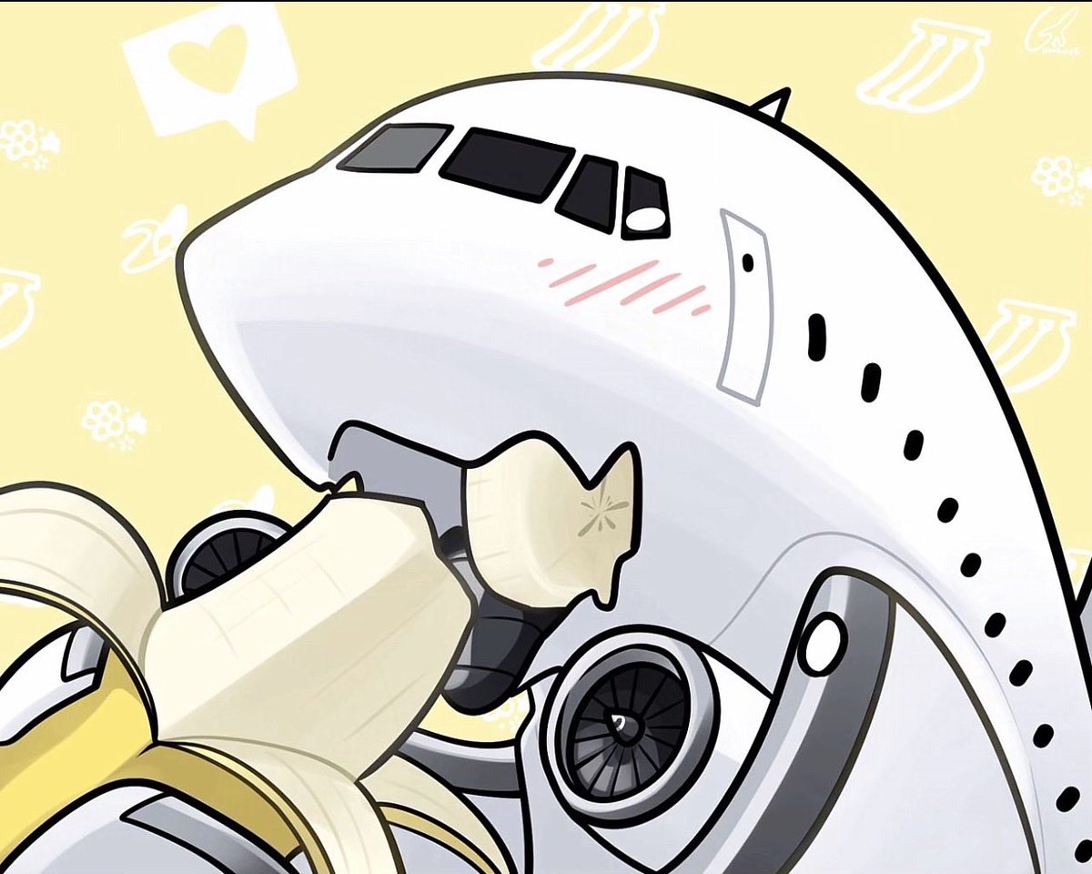 ArsaAircraft_10's tweet photo. I have some really cute photos with an aircraft theme.❤️ https://t.co/PxGot2z11O
