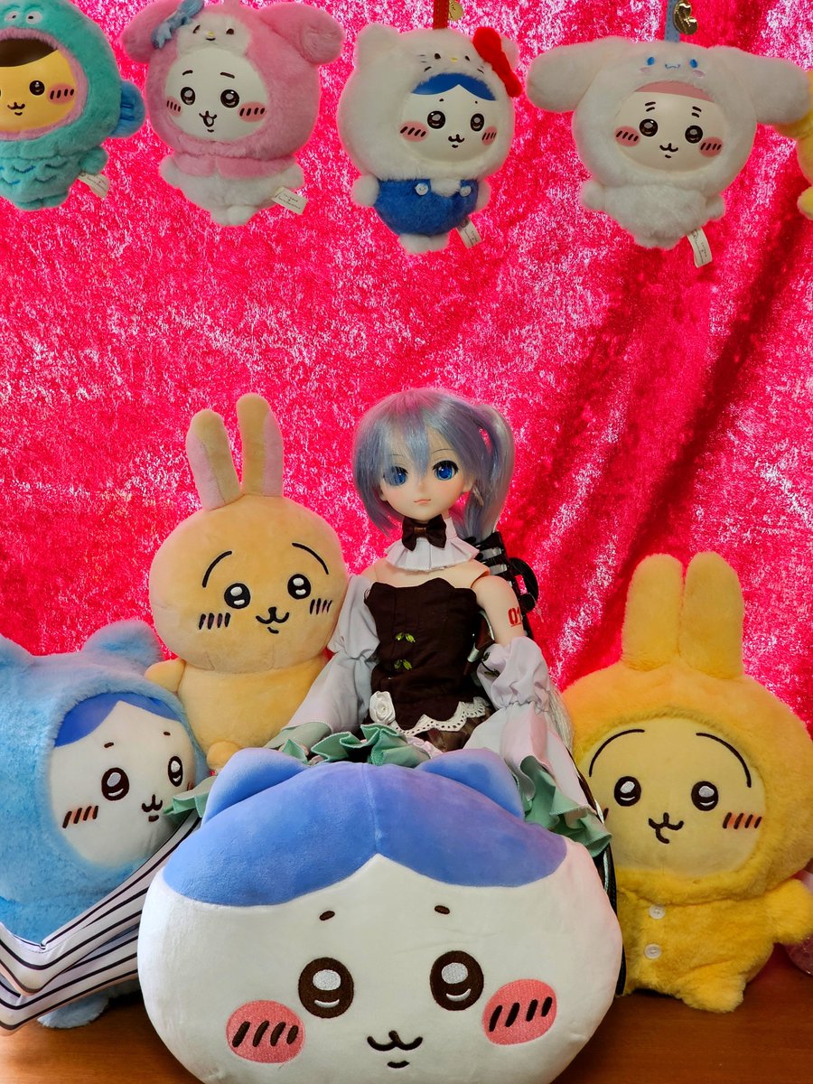 Syasincyan's tweet photo. うちの子とちいかわ https://t.co/PzyFm0Xdt1