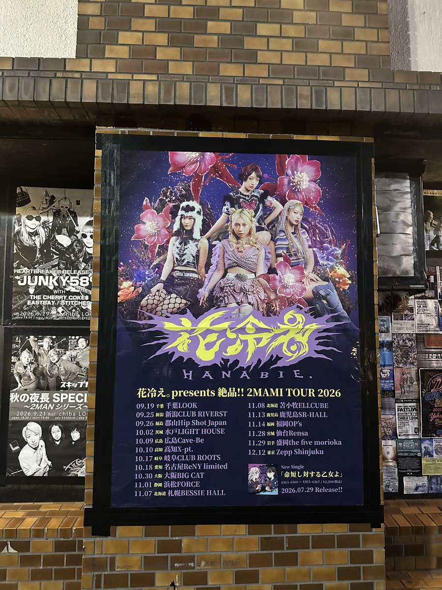 ayaka2002129's tweet photo. +｡:.ﾟஐ⋆❤️‍🔥2026.09.19❤️‍🔥･:*ೄ‧͙·*♪

花冷え。× EMNW
絶品!! 2MAMI TOUR 2026"
📍千葉LOOK

熱気やばすぎて激楽でしたっっ！
整番良かったのに遅刻してごめんなさい🙇🏻‍♀️

#花冷え。　#EMNW
#hanabie  #2MAMI https://t.co/KqTAAuXfvw