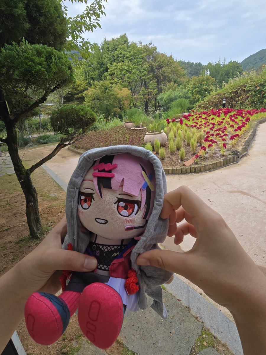 wini_3335's tweet photo. https://t.co/bAd9cmrj5p