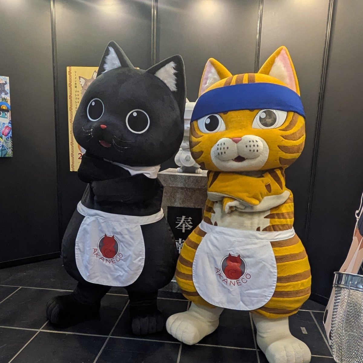 sunodrop's tweet photo. 京まふ2日目終了。
やること終わったので、京都駅まで戻ろう https://t.co/pwcmd0aREh