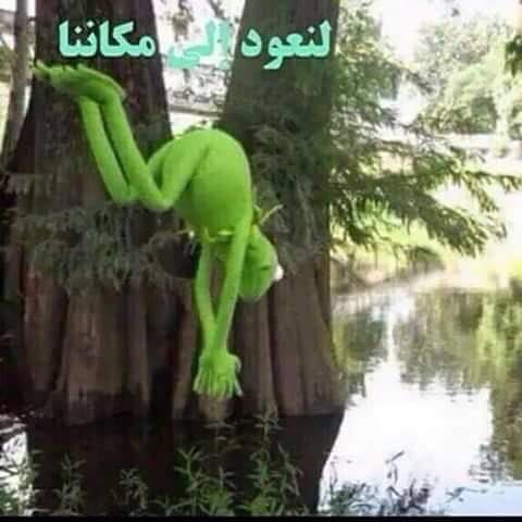 emad_ameer's tweet photo. @saud1386172 https://t.co/Z0FFkSSYnd