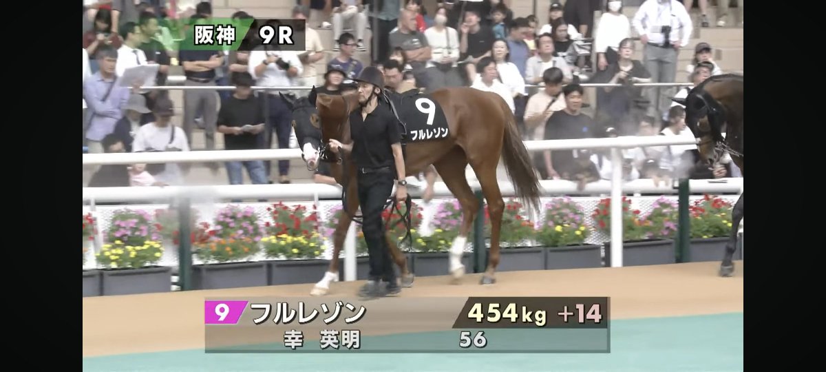 chiikisosei's tweet photo. 頑張れフルレゾン🏇
東京、中京に適性と思われて使われてきたけど…
初勝利も含めて、実は阪神が一番合うというのを期待しています！ https://t.co/V01o1zyi1P