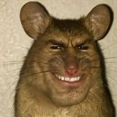 SirMiniWriting's tweet photo. @vorarachious @cosmixmoth Absolutely horrid, darling~ ✨ https://t.co/t8aNlOdVXl