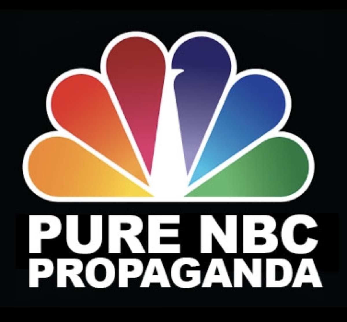 Siegfried_Guido's tweet photo. @NBCNews Just know NBC never tells the truth. https://t.co/xWh4uMjo0N