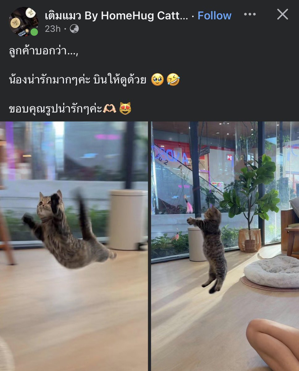 krakraxt's tweet photo. น้อนบินได้ https://t.co/A2oloYa4Wk