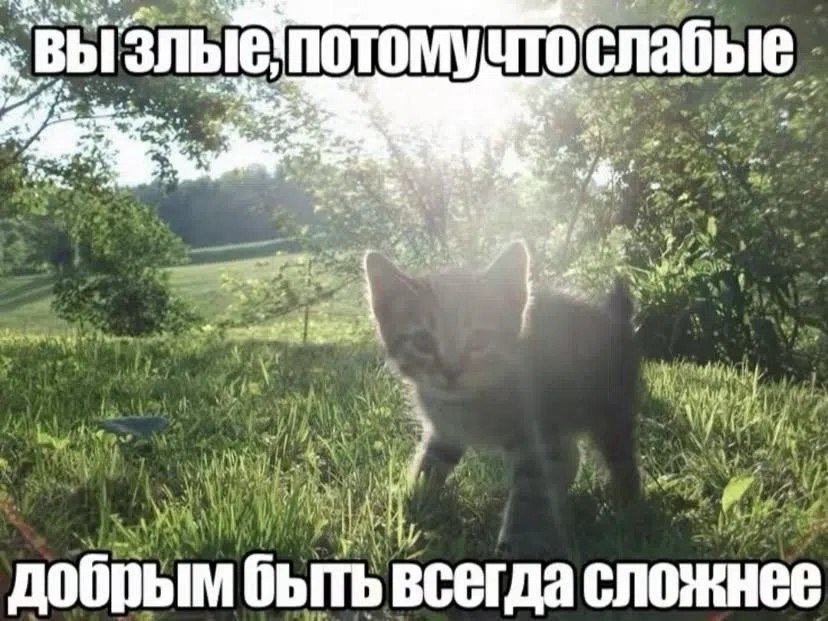 Oladded's tweet photo. @SlevaIzum https://t.co/66xsS1VQUg