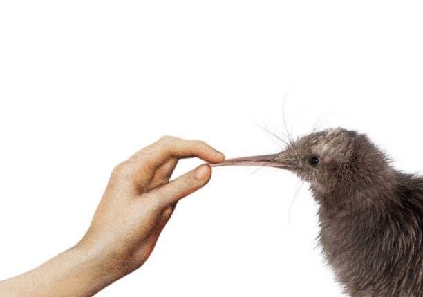 Imprettyrad36's tweet photo. I want to #cut but I cant because my buddy is over https://t.co/fn8OD9QVae