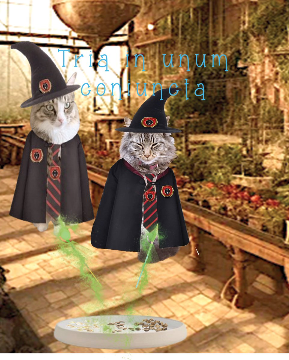 Tarde_WaterBear's tweet photo. Mogwarts HERBOLOGY homework:
create new veggie seeds by combining those seeds. create a new recipe with those new veggies.
featuring me Otto and Allie!!
created magical candy that will stop myocardio infarctions π
#MWHomework https://t.co/Y0caL5yNC4