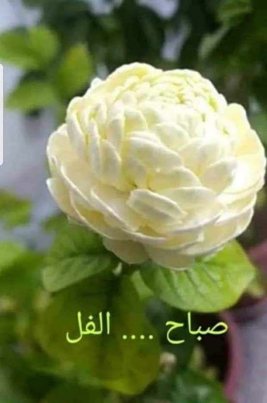 om_rroo's tweet photo. @dima___998 https://t.co/hfjGTtgcc5