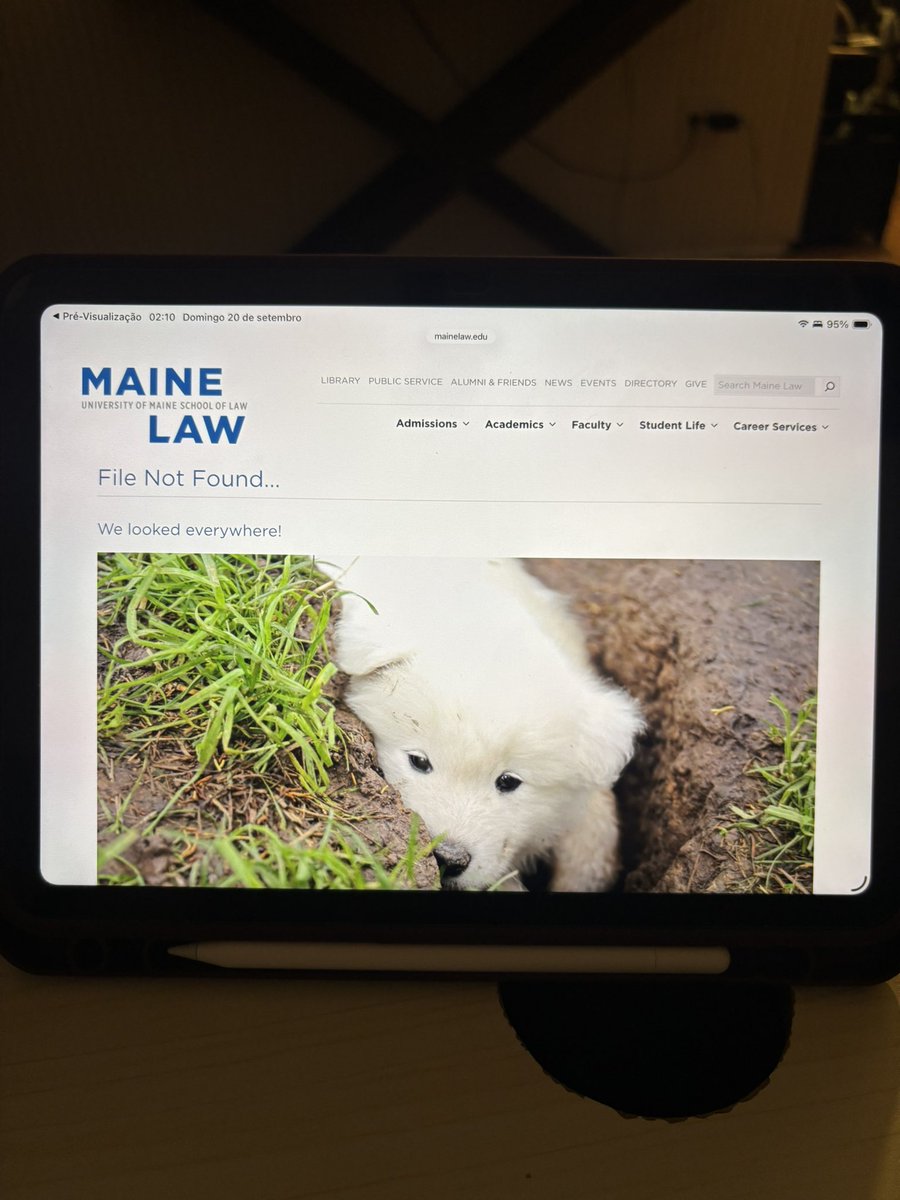 yourfemmegf's tweet photo. a página de erro da maine law school mds 🥹 https://t.co/2PU6ZjE560