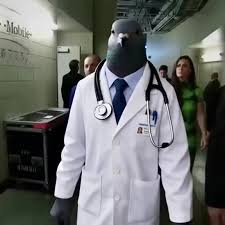ElNoobMasPro72's tweet photo. @dumbfrenchrat A pigeon surgeon because apparently its a profession https://t.co/LI8udmSy6f