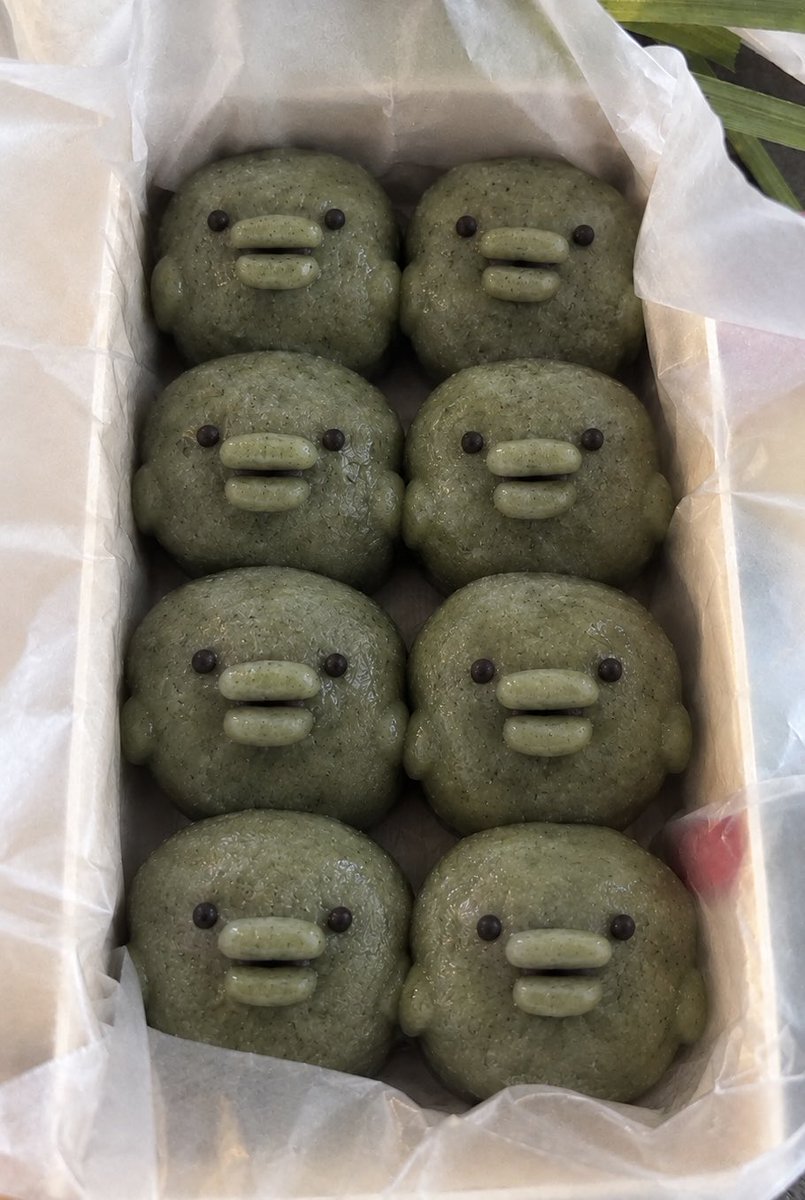 komezukenpi's tweet photo. 草餅くちぱっち🌱 https://t.co/ADd8IpWSOD