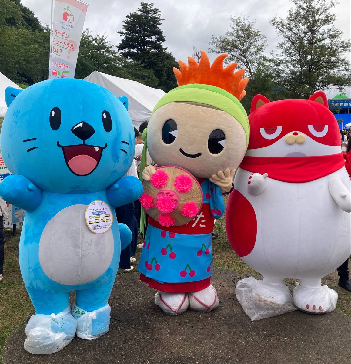 Syanack11's tweet photo. ポケットモンスター　醤油/味噌
醤油の御三家
#日本一の芋煮会フェスティバル https://t.co/0ckZaOqSmd