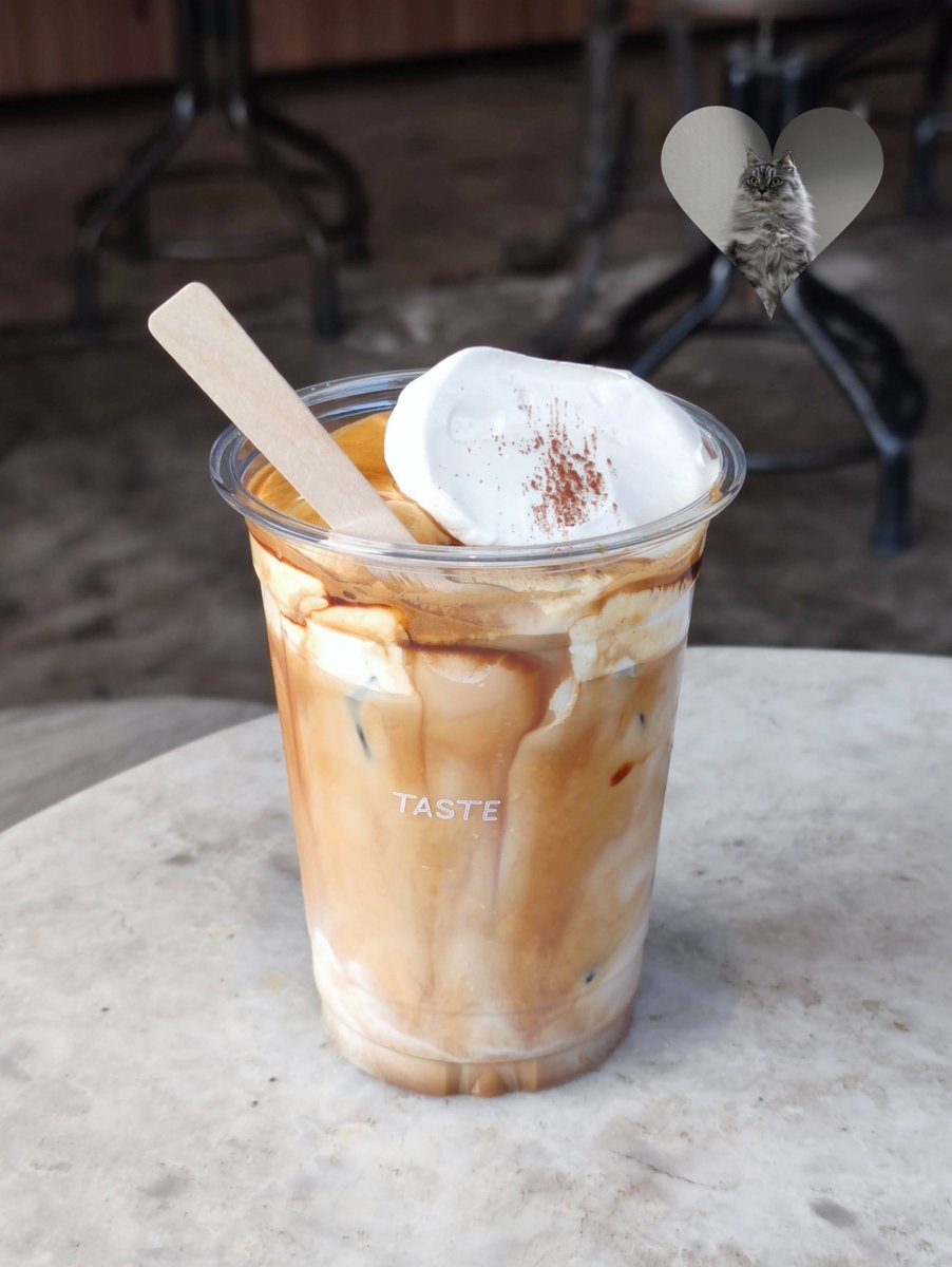 geegissss's tweet photo. อันดับ 1 ก็ขอยกให้ Taste Cafe อีก ป้ายยาวนไป 🤣

กาแฟลาเต้ธรรมดาก็อร่อยนะ แต่ถ้ามาครั้งแรกอยากให้ลอง Soft Latte เลย อร่อยนัวร์สุด หรือจะสั่ง Dirty มากินคู่ Tiramisu แบบนี้ก็ได้ 😋

ใครไปร้านนี้จะได้บรรยากาศทุกคนนั่งอ่านหนังสือกันอะ แบบมันใกล้ๆ มช. เพราะงั้นใครไปขออย่าเสียงดังนะ

#รีวิวเชียงใหม่ #กินตามชูก้า