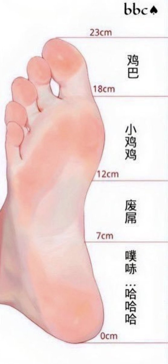 XIEMdcji's tweet photo. 我算哪一个等级？
#反差 #体育生 #平板锁 #短小 #阳痿  #大屌 #直男 #贞操锁 https://t.co/MhV0CSrMOh