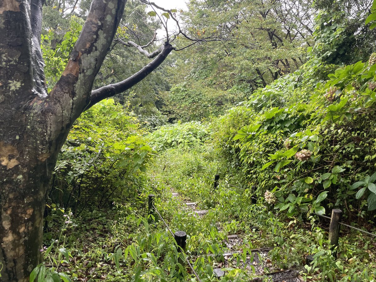 quack_3939's tweet photo. #柏サポ町田遠征 険しい https://t.co/V4jz0zEbIe