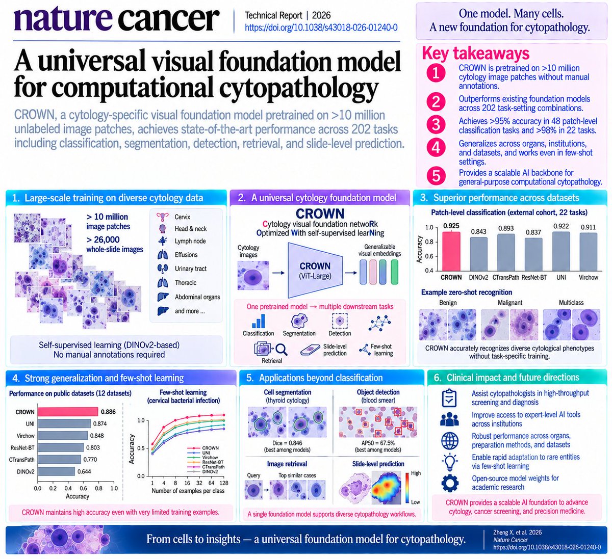 changmyung1981's tweet photo. 🔬🤖 Pathology foundation models have transformed histology. Cytology has largely been left behind. CROWN may change that.

A new Nature Cancer Technical Report introduces CROWN (Cytology visual foundation netwoRk Optimized With self-supervised learNing)—a cytology-specific visual foundation model trained on >10 million image patches from >26,000 whole-slide images, without manual annotations during pretraining.

The scale of evaluation is particularly impressive:

202 task-setting combinations

spanning:

classification • image retrieval • segmentation • object detection • whole-slide prediction • few-shot learning

across multiple organs, institutions, preparation methods, and public datasets.

And the core finding is simple:

A foundation model trained specifically on cytology consistently outperforms general-purpose and histopathology foundation models on cytology tasks.

🧬 Why does cytology need its own foundation model?

Histopathology AI benefits from tissue architecture.

Cytology is fundamentally different.

Cells are obtained through minimally invasive sampling and appear as:

isolated cells + small clusters

without the spatial tissue architecture available in histological sections.

Yet cytology is enormously important clinically:

cervical screening
thyroid FNA
body-fluid cytology
urinary cytology
lymph-node cytology
bronchial specimens
and many others.

Existing AI approaches are typically trained for one narrow task.
CROWN instead asks:
Can one pretrained representation understand cytomorphology across organs and diseases?
🏗️ How CROWN was built
The model uses a:
ViT-Large

DINOv2 self-supervised student–teacher architecture

masked image modeling.

During training, 50–70% of image patches were randomly masked, forcing the network to infer missing morphological information from context.

Importantly:

No manual diagnostic labels were required for pretraining.

The training set covered cytology from:

cervix
head & neck
lymph node
effusions
urinary tract
thoracic sites
abdominal organs

and other clinical specimen types.

The overview on page 2, Figure 1 is worth seeing: it shows the >10-million-image training corpus feeding a single CROWN encoder that subsequently supports classification, retrieval, segmentation, detection and whole-slide tasks.

🎯 Zero-shot performance is already strong

The investigators first froze the pretrained representations and asked CROWN to recognize cytological classes without task-specific fine-tuning.

Across 34 internal patch-level tasks:

CROWN mean accuracy = 0.838

compared with:

DINOv2: 0.723
CTransPath: 0.778
ResNet-BT: 0.712
UNI: 0.835
Virchow: 0.820.
Then came the external cohort.
Across 22 classification tasks:
CROWN accuracy = 0.925
versus:
DINOv2 0.843
CTransPath 0.893
ResNet-BT 0.837
UNI 0.922
Virchow 0.911.
The feature-space maps on page 3 are visually striking: benign/malignant and multiclass cytological phenotypes form surprisingly clean clusters in the learned embedding space.

🔥 Give CROWN a little supervision—and performance rises further

With linear probing, only a simple classifier is trained while the CROWN encoder remains frozen.

Internal cohort:

Accuracy = 0.864

F1 = 0.854

Sensitivity = 0.753

AUC = 0.922

again outperforming the tested baselines.

In the external SCC cohort:
mean accuracy = 0.941.
Even more impressive:
15/17 binary tasks exceeded 95% accuracy
and

11/17 exceeded 98%.

This is not one cancer type or one specimen.

The benchmarks include cytology from:

pancreas
thyroid
cervix
urine
lymph nodes
bronchial specimens
pleural/pericardial/ascitic fluid
bile duct
breast
and others.

👀 What is the AI actually looking at?
The authors used Grad-CAM to visualize diagnostically important regions.
CROWN preferentially attended to classic cytopathological features including:
nuclear atypia
increased nuclear-to-cytoplasmic ratio

hyperchromasia

cytoplasmic vacuolation

cell clustering.

Two experienced cytopathologists independently reviewed the attention patterns, with substantial interobserver agreement.

The examples on page 5 are particularly compelling: heatmaps focus directly on abnormal cellular clusters in pancreatic, thyroid, lymph-node, pleural and other cytology specimens.

So the model is not simply generating accurate predictions.

Its attention overlaps recognizable human cytomorphological reasoning.

🌍 Perhaps more important: it generalizes beyond its training domain

CROWN was evaluated on 12 public cytology datasets.

Mean linear-probing accuracy:

0.886

versus:

DINOv2 0.644
CTransPath 0.770
ResNet-BT 0.803
UNI 0.874
Virchow 0.848.

AUC reached:

0.960.

Then the investigators deliberately tested an out-of-distribution domain absent from pretraining:

🩸 peripheral blood smears.

CROWN still achieved:

accuracy 0.848
sensitivity 0.908
AUC 0.906.
That is exactly the kind of generalization a foundation model is supposed to provide.
🔎 CROWN can also function as a cytology search engine
This is an underappreciated application.
A pathologist can theoretically provide a query image and retrieve morphologically similar examples.
CROWN was tested for:
anatomical-site retrieval
and

fine-grained diagnostic retrieval.

In the internal cohort, 1,887 query images were searched against 17,154 candidate images.

In the external cohort:

1,378 queries

against

12,527 images.

CROWN achieved the highest retrieval performance at both anatomical and subtype levels.

The examples on page 6 make the potential obvious:

query cell image

→ CROWN embedding
→ nearest morphologic neighbors
→ Top-1 / Top-3 / Top-5 comparable cases

This could eventually support:

case comparison
education
rare-disease retrieval
and
diagnostic decision support.

🧫 It isn't just classification

The same backbone supports cell segmentation.

For thyroid cytology:

DICE = 0.846

and cervical cytology:

DICE = 0.719

both the highest among the tested encoders.

For blood-cell object detection, CROWN achieved:
AP50 = 67.5%
compared with:
DINOv2 44.1%
CTransPath 33.1%
ResNet-BT 53.3%
UNI 64.8%
Virchow 44.9%.
The segmentation/detection comparisons on page 29 reinforce an important point:

one pretrained backbone → many different cytopathology tasks.

🔬 And it works at the whole-slide level

The authors then tested 12 weakly supervised slide-level tasks involving:

2,817 unique slides

and

5,190 slide-task instances.

CROWN achieved:

mean accuracy = 0.794

AUC = 0.875

sensitivity = 0.741.

For binary tasks alone:

mean accuracy = 0.867.

One particularly interesting example:

primary origin of lymph-node metastases

—a five-class problem—

achieved:

90% accuracy.

The slide-level Grad-CAM examples on page 8 show CROWN identifying diagnostically informative microscopic regions within huge cytology slides rather than treating the entire WSI uniformly.

🤯 Few-shot learning may be the most clinically useful feature

Rare cytological entities create a fundamental AI problem:

there simply aren't thousands of labeled examples.

So the investigators tested CROWN with only:

1
4
8
16
32
64
128
or
256

slides per class.

Across few-shot evaluations:

CROWN mean accuracy = 0.620
and it outperformed every comparator.
For cervical bacterial infection detection:

only 8 examples/class → accuracy 93.5%.

None of the comparator models exceeded 80% even with 128 examples.
The learning curves on page 10 make this especially striking: CROWN separates from the competing foundation models as the number of available examples increases.
This may be crucial for:
rare cancers
rare cytological subtypes

small institutional datasets

where conventional supervised AI development is impractical.

🧠 Why does a cytology-specific foundation model matter?

Histology foundation models such as UNI and Virchow were trained on enormous pathology datasets.

But histology asks the model to understand:

cells + glands + stroma + tissue architecture.

Cytology asks something different:

nuclear morphology

chromatin texture

N:C ratio

cell clustering

cytoplasmic morphology
isolated-cell phenotypes.
CROWN's results suggest that:
domain-specific pretraining matters.
A model trained explicitly on cytology can outperform even much larger histopathology foundation models on cytological problems.

The authors themselves note that the largest gains occur in high-level semantic tasks such as:

classification

detection

retrieval,

whereas gains in lower-level segmentation are smaller.

That distinction is informative about what the foundation representation is actually learning.

🚀 The future workflow could look very different

Imagine:

FNA / brushing / urine / effusion / cervical smear

↓
digital image
↓

CROWN

↙︎　　　↓　　　↘︎
classification
abnormal-cell detection
segmentation
similar-case retrieval
rare-disease few-shot classification
↓

cytopathologist review

↓

AI-assisted diagnosis

Importantly, the authors even note that patch-level images were captured directly through routine microscopes—not exclusively through expensive whole-slide scanners.

That could eventually make this architecture relevant to laboratories without comprehensive digital-pathology infrastructure.

⚠️ But CROWN is not yet a universal clinical cytopathologist

There are important limitations.

The large training corpus came from a limited number of institutions and geographic regions, so true global generalizability remains uncertain.

CROWN is also currently:

VISION ONLY.

It does not yet integrate:

clinical history
cytology reports
immunocytochemistry
molecular testing
genomics

which are often essential to real cytopathology diagnosis.

And although the benchmarking is extensive, the study is retrospective and computational. The authors report that no formal statistical hypothesis testing was performed for comparisons between models.
Prospective workflow studies are therefore the real next step.
🎯 The larger message
The major contribution may not be another model that achieves slightly better accuracy.
It is the demonstration that:
>10 million unlabeled cytology images
↓
self-supervised learning
↓

ONE FOUNDATION MODEL

↓
zero-shot diagnosis

supervised adaptation

image retrieval

segmentation

cell detection

whole-slide analysis

few-shot rare-disease learning

can work across remarkably heterogeneous cytological specimens.

That changes the engineering paradigm.

Instead of building:

one AI model → one organ → one diagnostic task

we may increasingly build:

ONE CYTOLOGY FOUNDATION MODEL

↓

many organs × many diseases × many tasks.

And because CROWN's code and model weights are available for academic research, this is not merely a conceptual demonstration—it is a foundation other groups can directly build upon.

For anyone working on AI + minimally invasive cancer diagnostics, this is a model worth watching.

📄 Zheng X, Zheng K, Wang J, et al.
A universal visual foundation model for computational cytopathology.
Nature Cancer. 2026.

DOI: 10.1038/s43018-026-01240-0

#ArtificialIntelligence #Cytopathology #DigitalPathology #FoundationModel #CROWN #CancerDiagnostics #ComputationalPathology #DeepLearning #DINOv2 #PathologyAI #PrecisionOncology #CancerScreening #MedicalAI #NatureCancer
