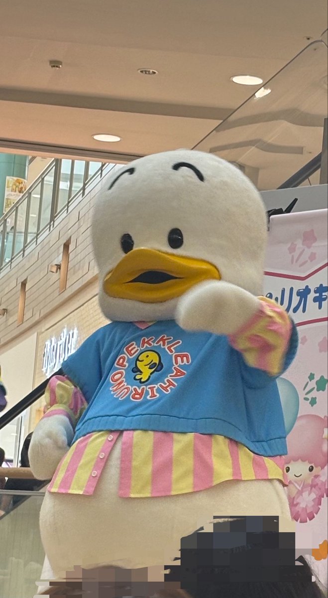 plum_exchange's tweet photo. ←立ち見　　　→座り見
整理券の後ろの方より立ち見の最前の方が良く撮れたな
座り見は前の人の頭だらけや
#あひるのペックル https://t.co/RzfVetpjhU