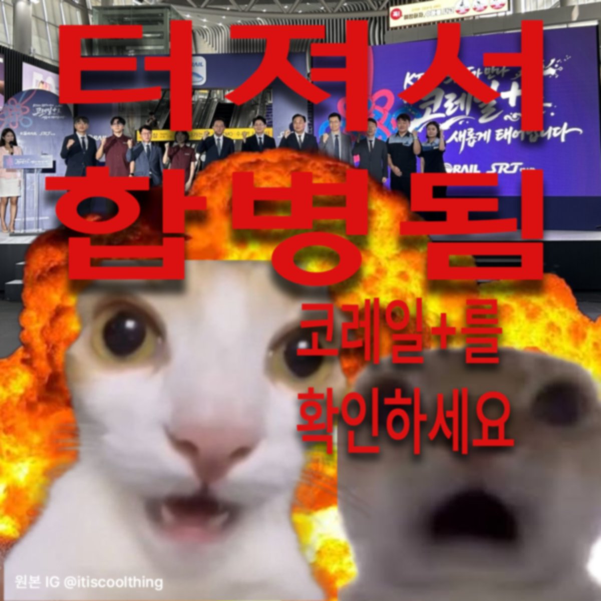 UnliMental's tweet photo. https://t.co/UbvsapY23Q